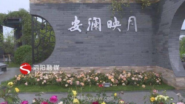 第十一屆中國月季展覽會：走進淮安展園(圖2)