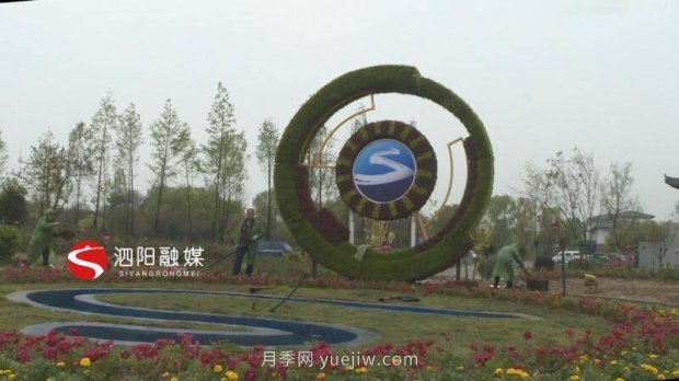 第十一屆中國月季展覽會：走進洋河展園(圖1)