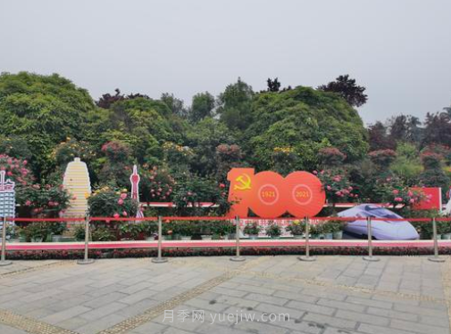 滿城飄香賞月季，月季花開驚艷了四月的鄭州(圖5)