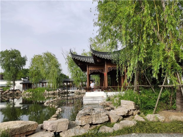南陽世界月季大觀園規(guī)模真大，快來過把月季花癮(圖3)