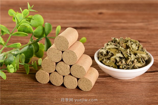 南陽宛艾產(chǎn)業(yè)協(xié)會舉辦艾草研討會，把宛艾做成中國名片(圖1)
