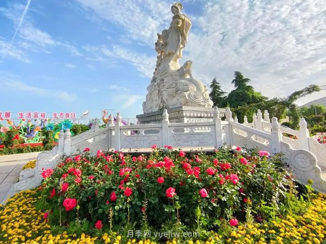 南陽月季博覽園，6月份全月免門票！(圖2)