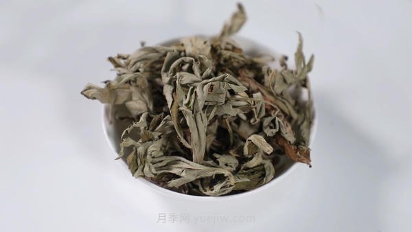 南陽艾草產(chǎn)業(yè)蓬勃發(fā)展的背后原因是為什么？(圖1)