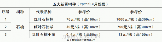 春季***近一個月成交量***高的十大苗木排行榜(圖4)