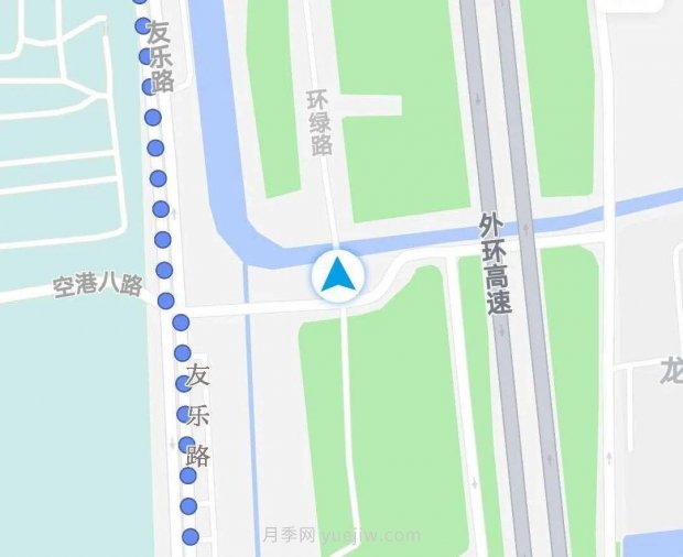 月季成墻、繡球綻放……上海長(zhǎng)寧外環(huán)林帶生態(tài)綠道花開正艷(圖9)