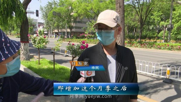 太原三百萬株月季玫瑰盛開，許你一座浪漫之都(圖3)