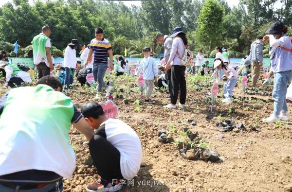 漯河城管園林科研所，邀請400余位市民花田體驗栽花(圖3)