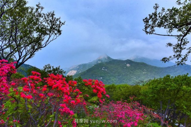 桐柏縣，淮河之源 坐標(biāo)桐柏山(圖1)