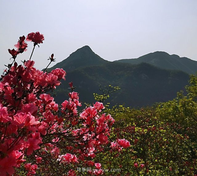 桐柏縣，淮河之源 坐標(biāo)桐柏山(圖2)