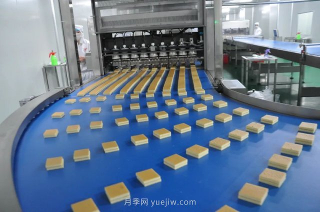 漯河打造農(nóng)業(yè)全產(chǎn)業(yè)鏈，實(shí)現(xiàn)航母級(jí)產(chǎn)業(yè)(圖3)