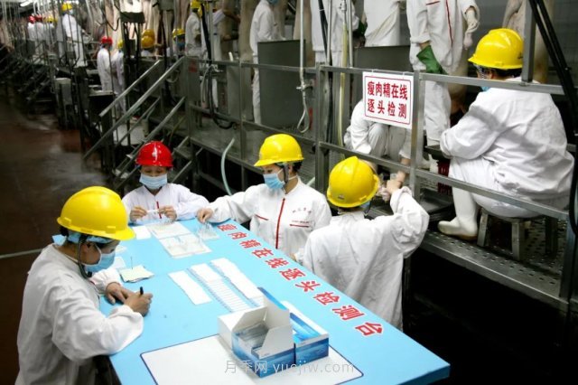 漯河打造農(nóng)業(yè)全產(chǎn)業(yè)鏈，實(shí)現(xiàn)航母級(jí)產(chǎn)業(yè)(圖4)