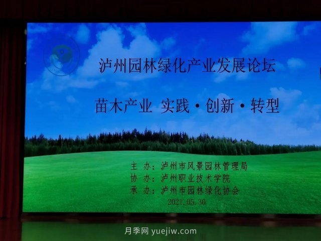 瀘州園林綠化產(chǎn)業(yè)發(fā)展論壇召開，大伽把脈苗木行業(yè)(圖2)