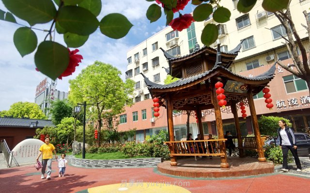南陽臥龍崗街道，廢墟變游園，月季景優(yōu)美(圖2)