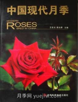 月季圖書：王世光，薛永卿《中國現(xiàn)代月季》(圖2)