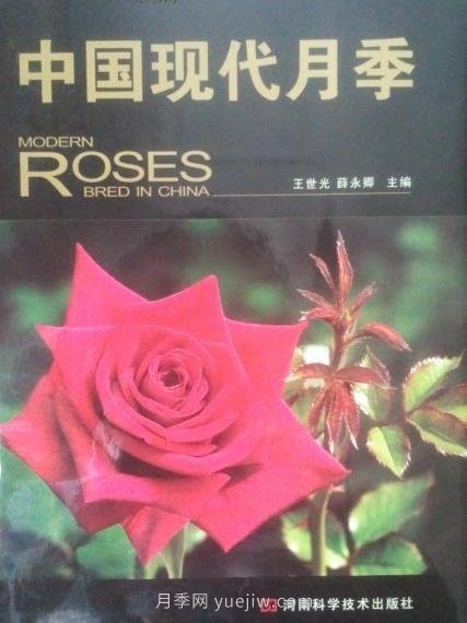 月季圖書：王世光，薛永卿《中國現(xiàn)代月季》(圖1)
