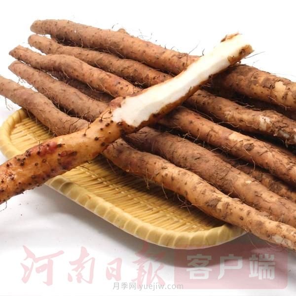推動河南農(nóng)業(yè)“小特產(chǎn)”向“大產(chǎn)業(yè)”升級(圖1)