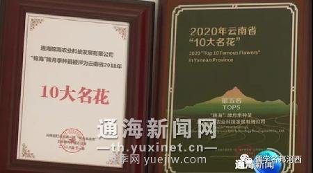 通海錦海農(nóng)業(yè)“初心月季”榮獲“中國(guó)好品種”稱號(hào)(圖2)