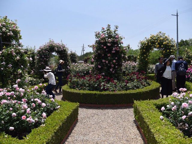 城市公園中使用綠雕應該注意哪些問題？(圖1)