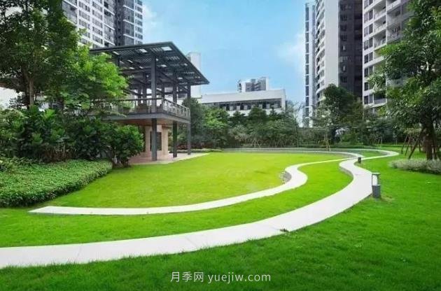 景觀草坪修剪全攻略，實(shí)用干貨分享(圖1)