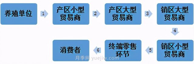 電商平臺(tái)：雞蛋銷售新渠道(圖1)