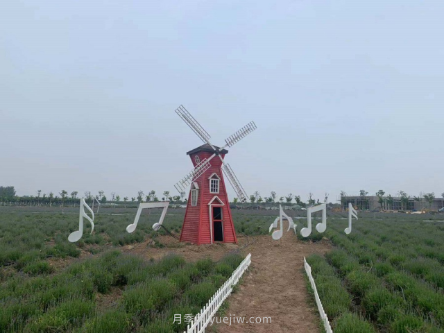 聊城芳香文化博覽園，鄉(xiāng)村振興巾幗示范基地(圖3)