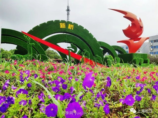 上海松江這里的花壇、花境“上新”啦！特色景觀升級(jí)！(圖1)