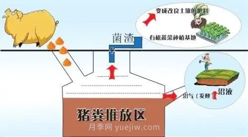 中國生態(tài)農業(yè)的主要模式(圖2) 中國生態(tài)農業(yè)的主要模式(圖2)