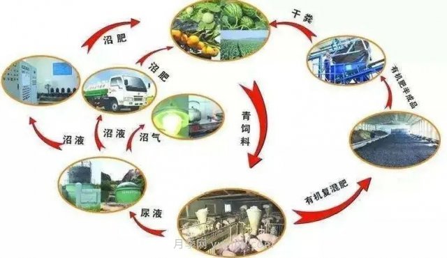 中國生態(tài)農業(yè)的主要模式(圖3) 中國生態(tài)農業(yè)的主要模式(圖3)