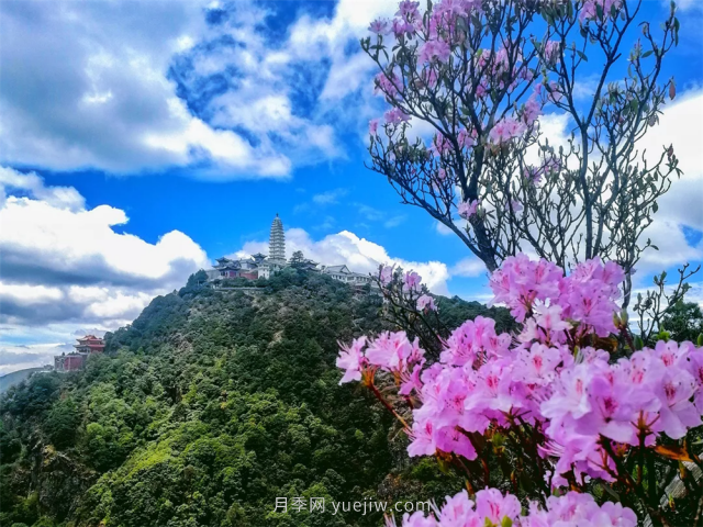 七月，邂逅大理雞足山極致風(fēng)光！(圖1)
