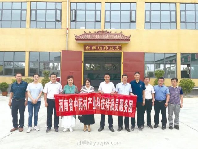 科技創(chuàng)新促進(jìn)南陽(yáng)艾草產(chǎn)業(yè)高質(zhì)量發(fā)展(圖1)