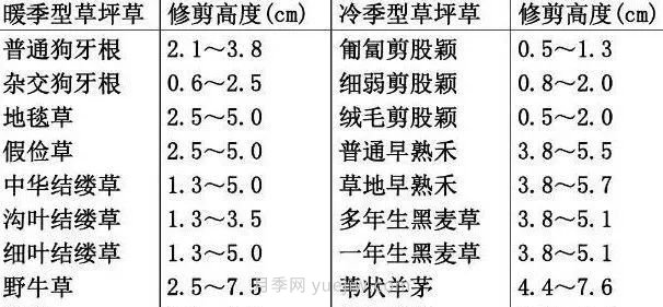 景觀草坪修剪全攻略，實(shí)用干貨分享(圖2)