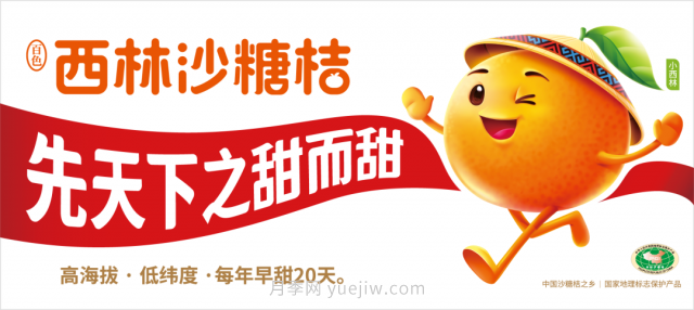 第三屆云果會(huì)盛大開(kāi)幕，助力云南打造世界一流綠色食品牌(圖6)