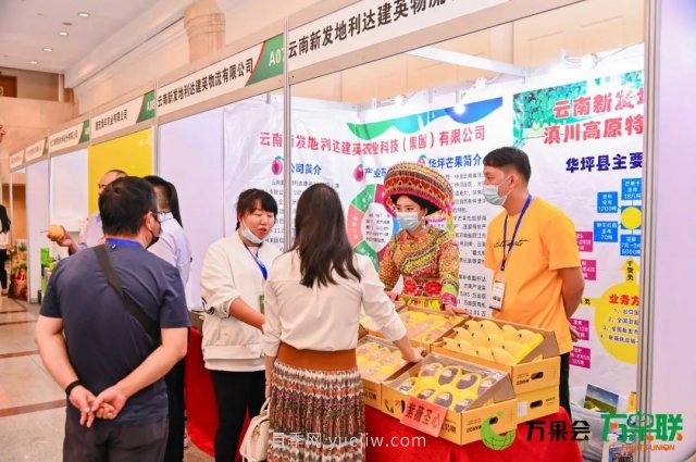 第三屆云果會(huì)盛大開(kāi)幕，助力云南打造世界一流綠色食品牌(圖7)