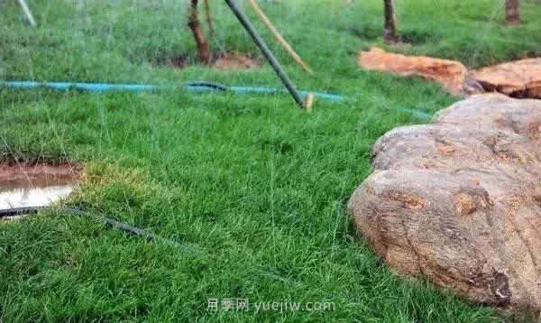 園林常用的4種節(jié)水灌溉技術(shù)(圖1) 園林常用的4種節(jié)水灌溉技術(shù)(圖1)