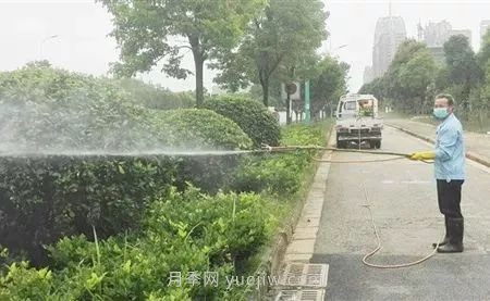 南陽(yáng)園林人須知夏季噴藥有“五忌”！(圖1)