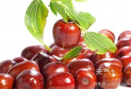 南陽市淅川縣的出名特產(chǎn)有哪些？(圖4)
