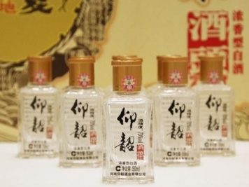 河南十大白酒，何以解憂唯有杜康