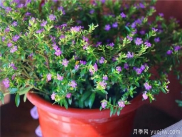 “厚德載物”是哪幾德，你知道嗎？漲知識(shí)！
