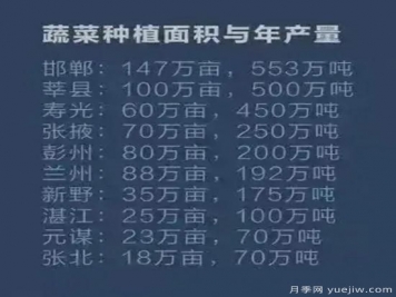 叫響南陽(yáng)蔬菜品牌，新野蔬菜基地和社旗蔬菜基地打牢基礎(chǔ)