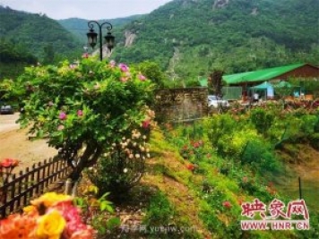 信陽羅山：月季飄香 美麗鄉(xiāng)村綻放美麗經(jīng)濟(jì)
