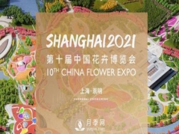 5月，第十屆中國花博會將在崇明拉開帷幕