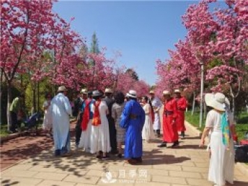 定位為月季主題公園，昆明呈貢區(qū)將集中打造彩云公園