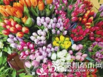 貴陽近期鮮花漲價 玫瑰花賣到70元一把