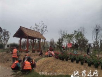 醉美泗陽，月季花海，第十一屆中國月季展覽會4月28日開幕