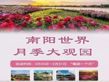 第十二屆南陽月季花會(huì)4月29日開幕，活動(dòng)豐富多彩
