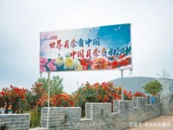 南陽(yáng)月季博覽園本周憑本人南陽(yáng)身份證可免費(fèi)游園