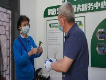 送你一枝月季，許你一束繁花，武漢百余市民領到月季扦插枝條