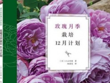 月季圖書：小山內(nèi)健《玫瑰月季栽培12月計劃》