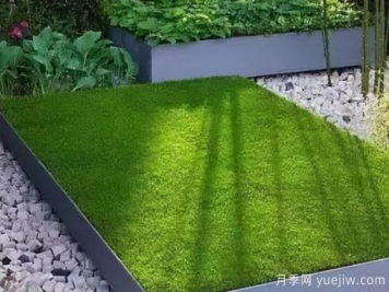 七個(gè)庭院草坪養(yǎng)護(hù)小知識(shí)