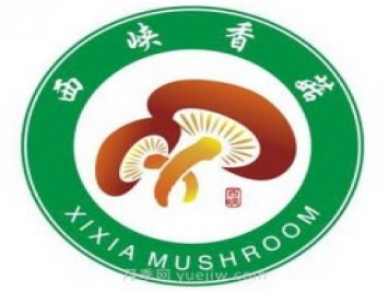 南陽西峽：發(fā)展菌果藥特色產(chǎn)業(yè) 全力推進(jìn)鄉(xiāng)村振興